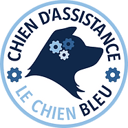 Le chien bleu